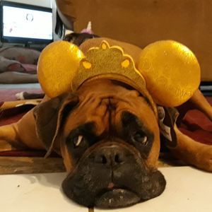 Meet your Posher, Jill